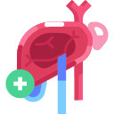 hepatologia icon