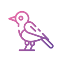 pájaro icon