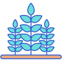 cultivo icon