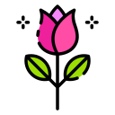 rosa icon