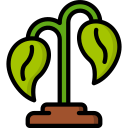 planta icon