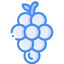 uvas icon