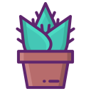 aloe vera icon