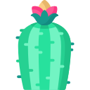 cactus icon