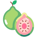 guayaba icon