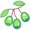 aceituna icon