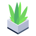 aloe vera icon