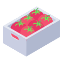 tomate icon