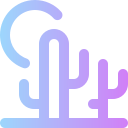 cactus icon