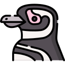 pingüino de magallanes icon