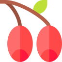 olivos icon