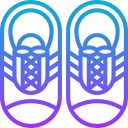 zapatos icon