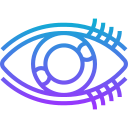 ojo icon