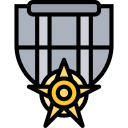 valor icon