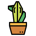 cactus icon