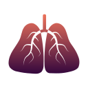 pulmones icon