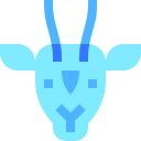 antilope 