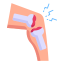 articulación de la rodilla icon