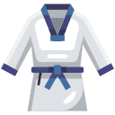 taekwondo icon