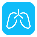 pulmones icon