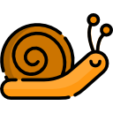 caracol icon