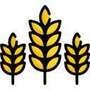 trigo icon