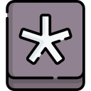 asterisco icon