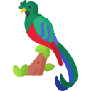 olśniewający quetzal ikona