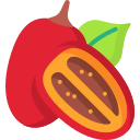 tomate de árbol 