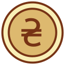 hryvnia icon