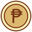 peso icon