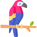 guacamaya roja 