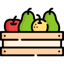 fruta icon