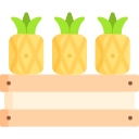 ananas
