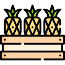 piña icon