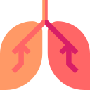 pulmones