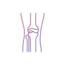 articulación de la rodilla icon