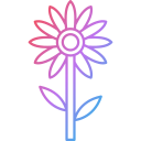 girasol icon