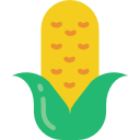 espiga de milho 