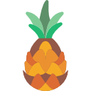 piña icon