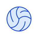 pelota de voleibol icon