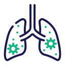 pulmones icon