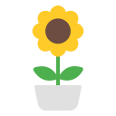 girasol icon