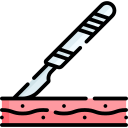 esterilización icon