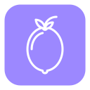 limón icon