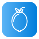 limón icon