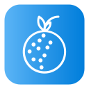 lychee icon