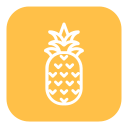 piña icon