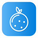 naranja icon