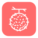 rambután icon